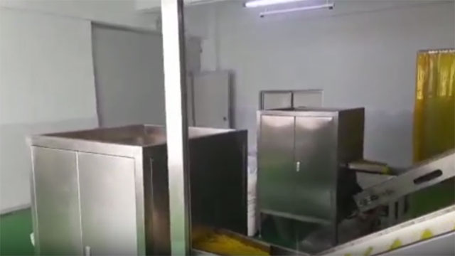 Batch Fryer (120kg/h), 300S